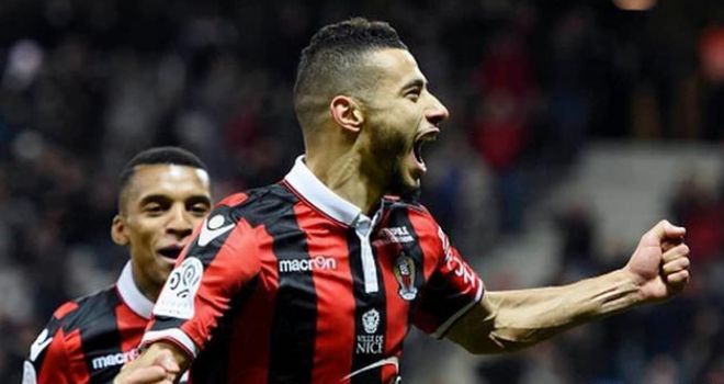 球迷和专家 球迷和专家