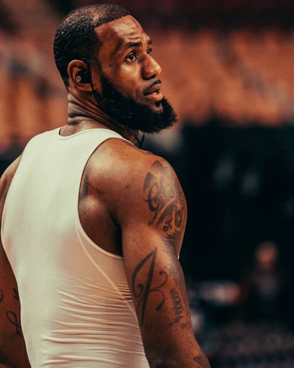 老鹰的四外 老鹰的四外