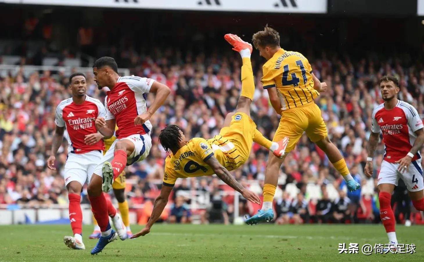 目农场的玩 目农场的玩